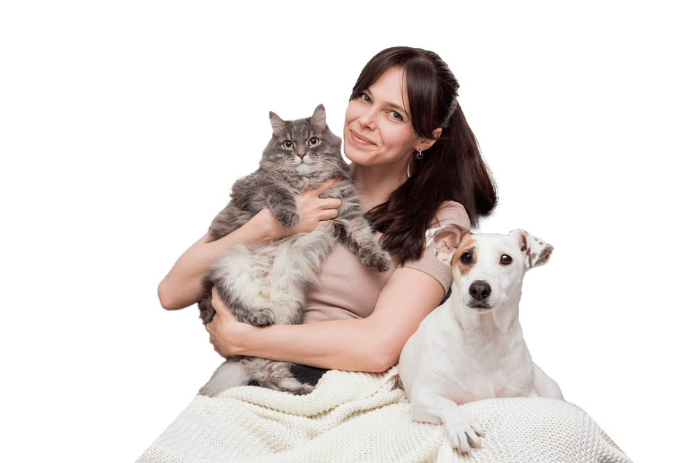 Cat Holding Image