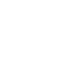 Paw White