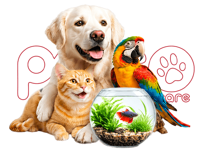 PetGo Care Pets - Golden Retriever, Cat, Parrot, Fish