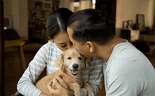 Couple adopting and loving puppy