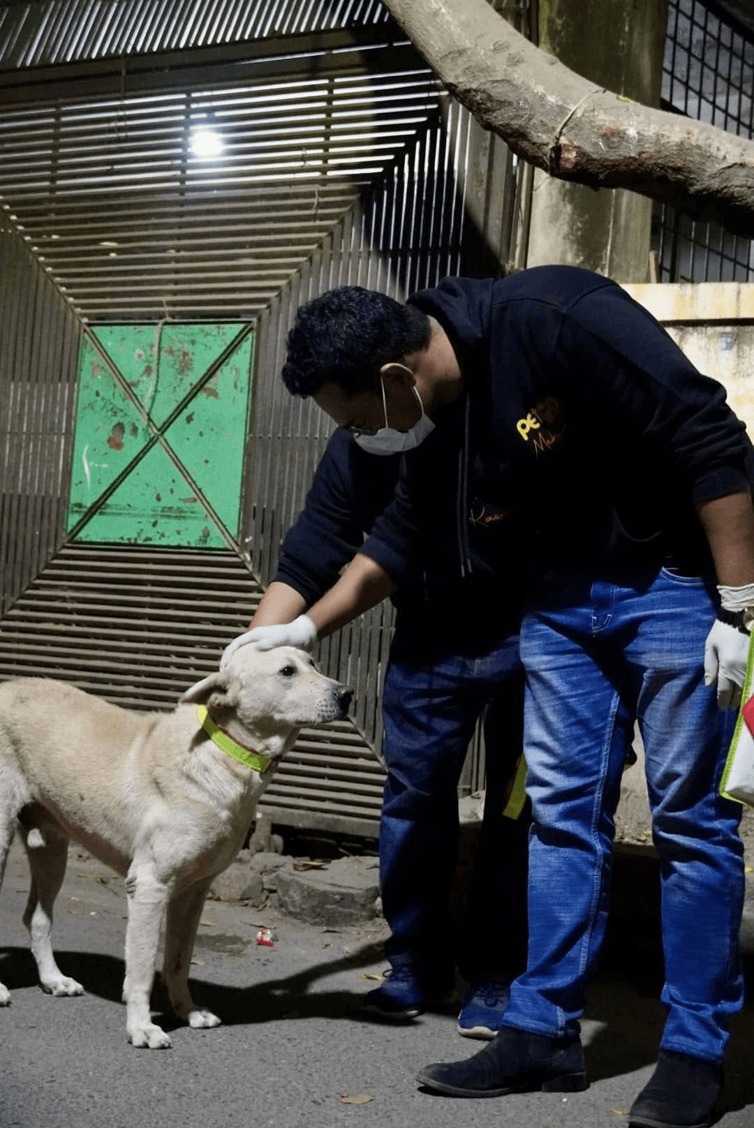 PetGo rescue campaign pet care