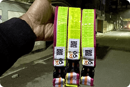 High-Visibility Reflective Collars