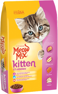 Kitten Nibbles