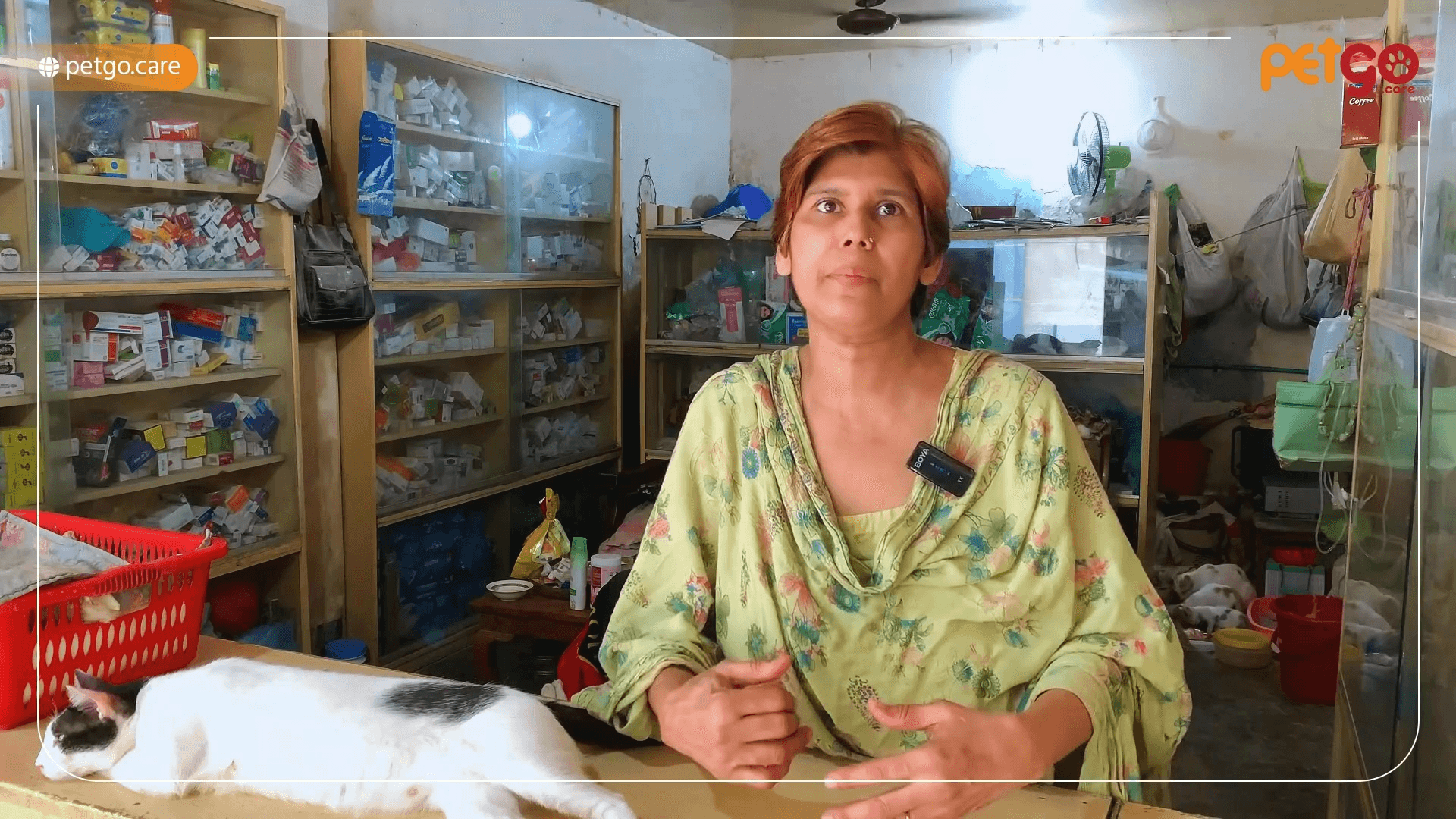 PetGo Documentary - A silent revolutionary in the city